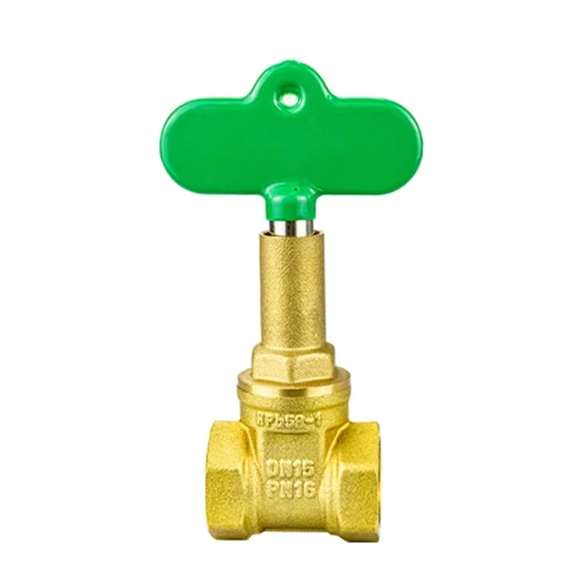 5173 lockable gate valve (light weight type）