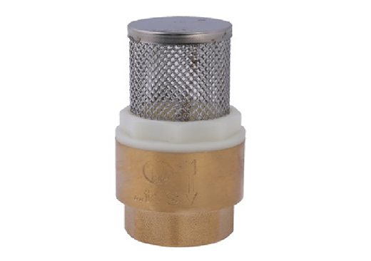5413 BRASS CHECK VALVE