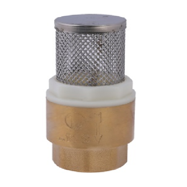 5413 brass check valve