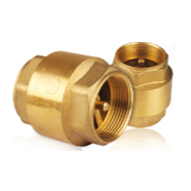 5425 vertical check valve
