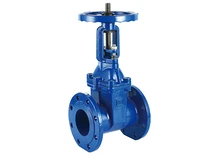 SOFT SEALING GATE VALVE 1105
