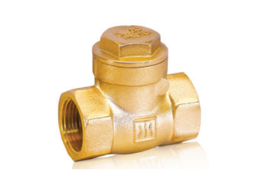 404 BRASS CHECK VALVE