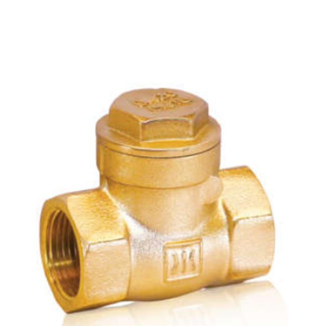 404 brass check valve
