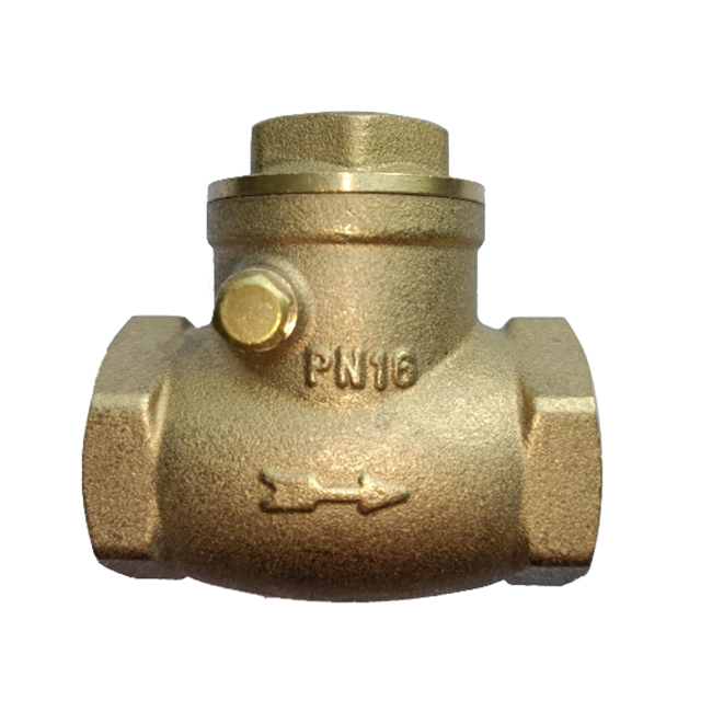 5421 horizontal check valve