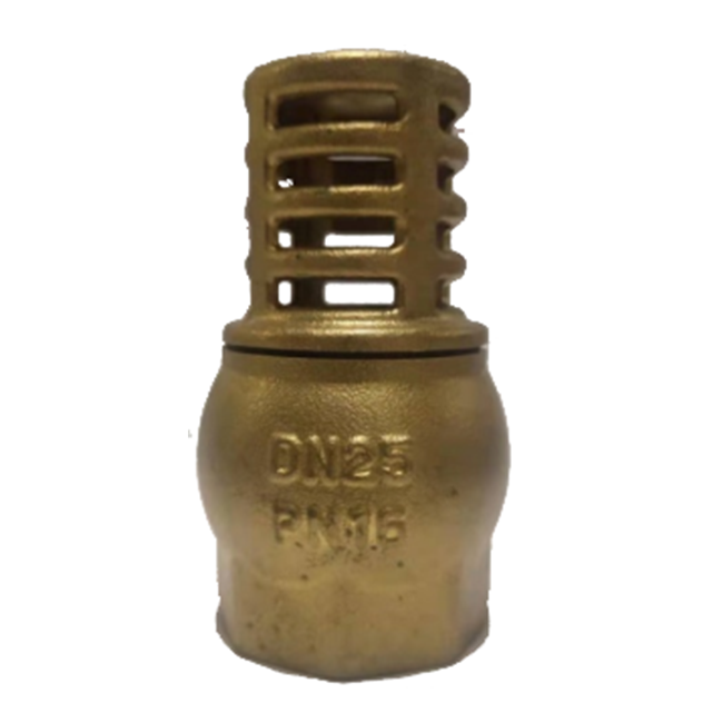 5429 foot valve