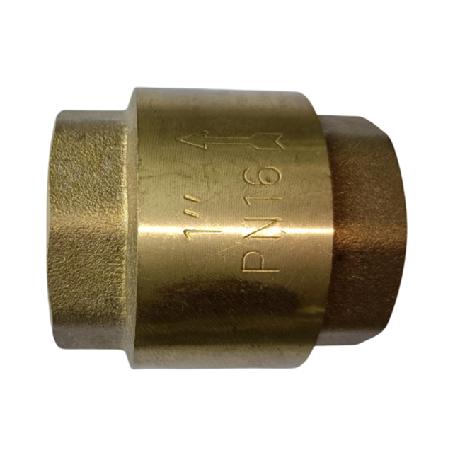 5436 vertical check valve