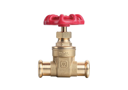 51007 PRESS-FIT VALVE