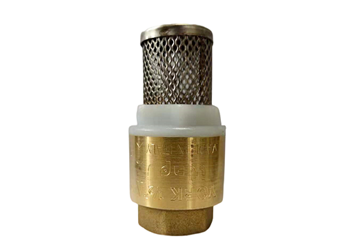 BRASS CHECK VALVE WITH FILTER