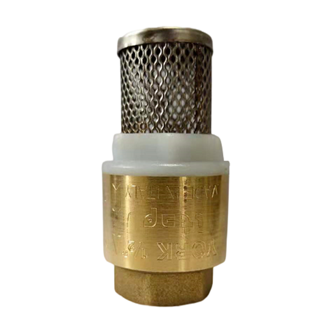 5438 brass check valve with filter