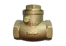 5421 HORIZONTAL CHECK VALVE