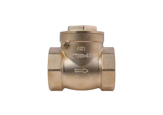 5416 BRASS CHECK VALVES