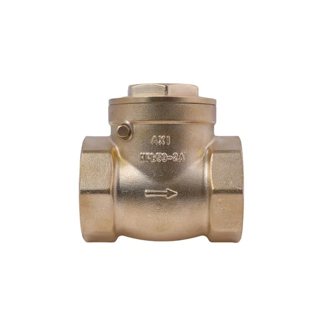 5416 BRASS CHECK VALVES