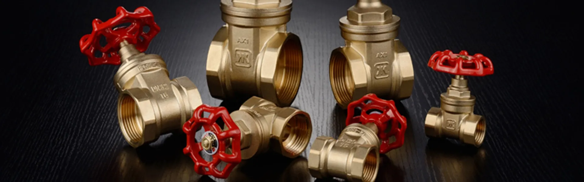BRASS GATE VALVE