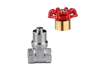 5151 LOCKABLE BRASS GATE VALVES