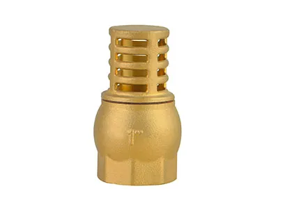 BRASS CHECK VALVE