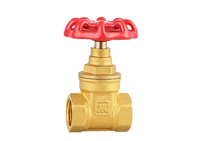 BRASS GATE VALVE