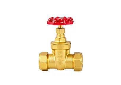 Gate Valve 5109
