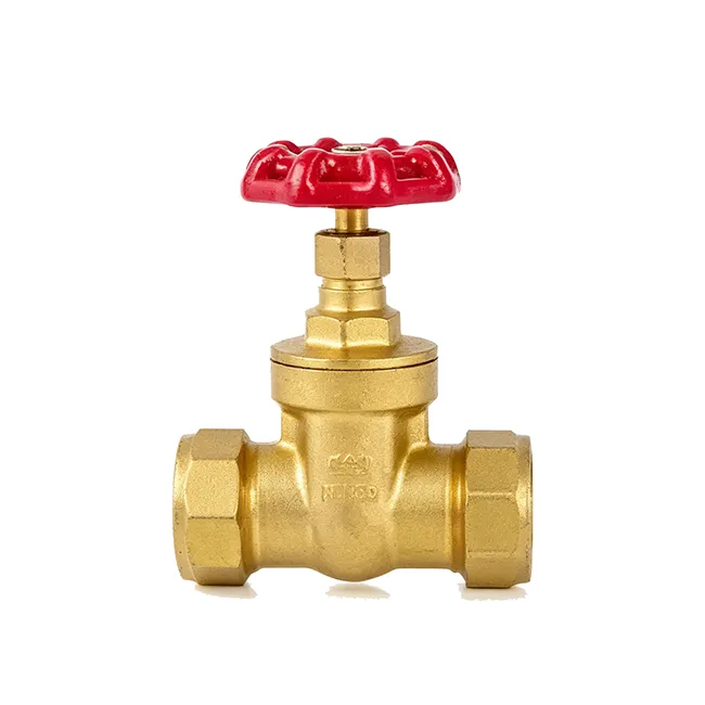 Gate Valve 5109