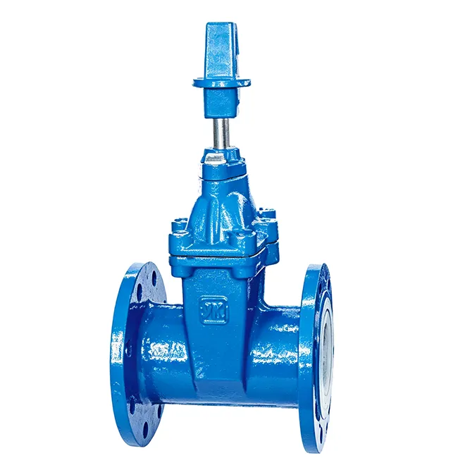 Elastic-Seat Enclosed Gate Valve