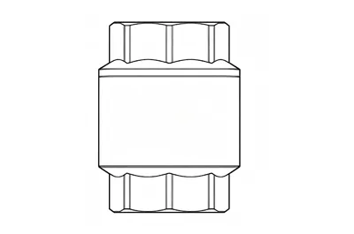 BRASS CHECK VALVE